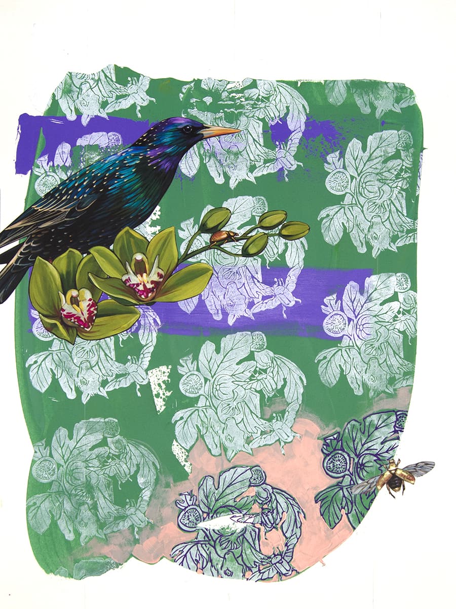 127-2021-Study of Bat and Fig Pattern