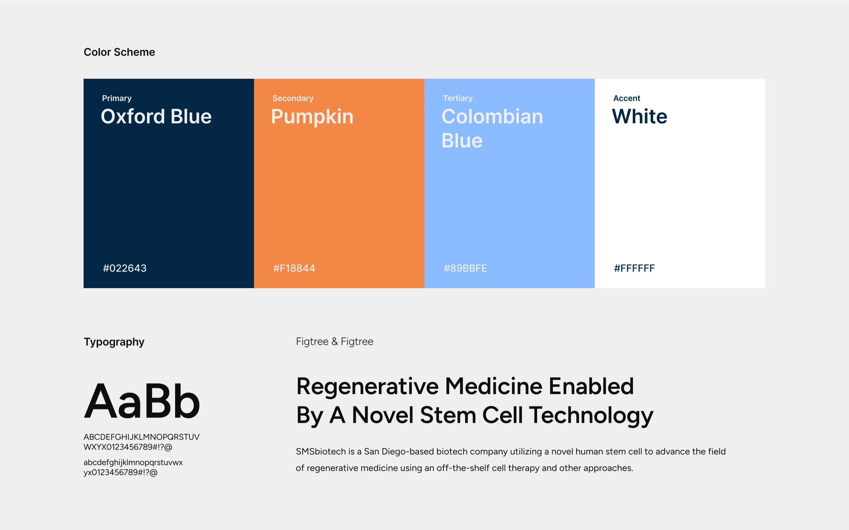 color palette