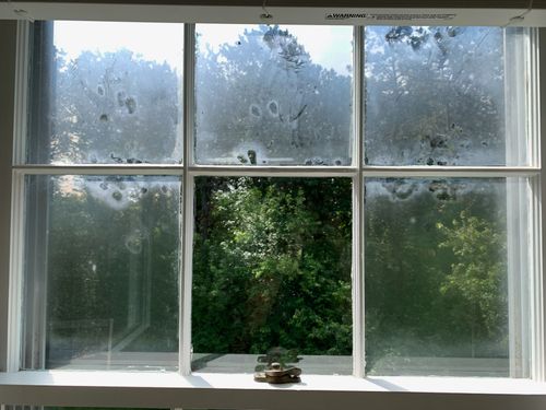 A house with clean windows in northern Michigan