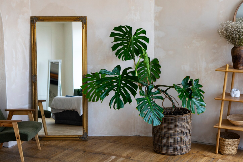 Moving from Boston to Florida: Snowbird Guide & Full Cost Breakdown