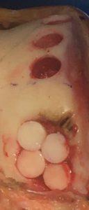 Afbeelding met voedsel, overdektAutomatisch gegenereerde beschrijving