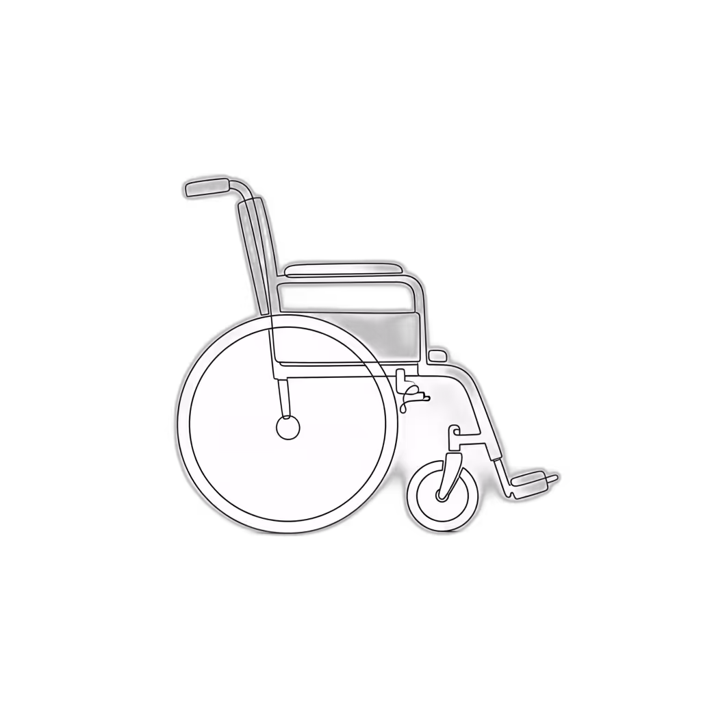 Online Wheelchair Appraisal