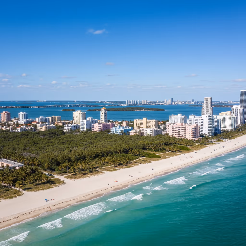 Appraisal in Florida Cartoon Image by AppraiseItNow