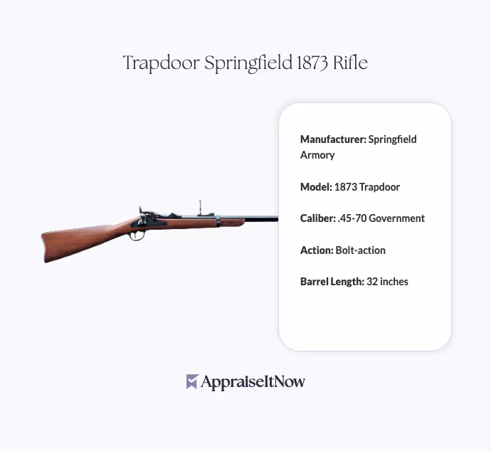 Trapdoor Springfield 1873 Rifle