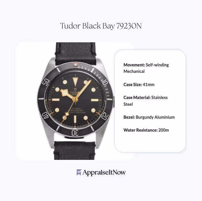 Facts of a Tudor Black Bay 79230N