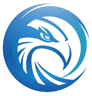 Hawkeye Business Solutions