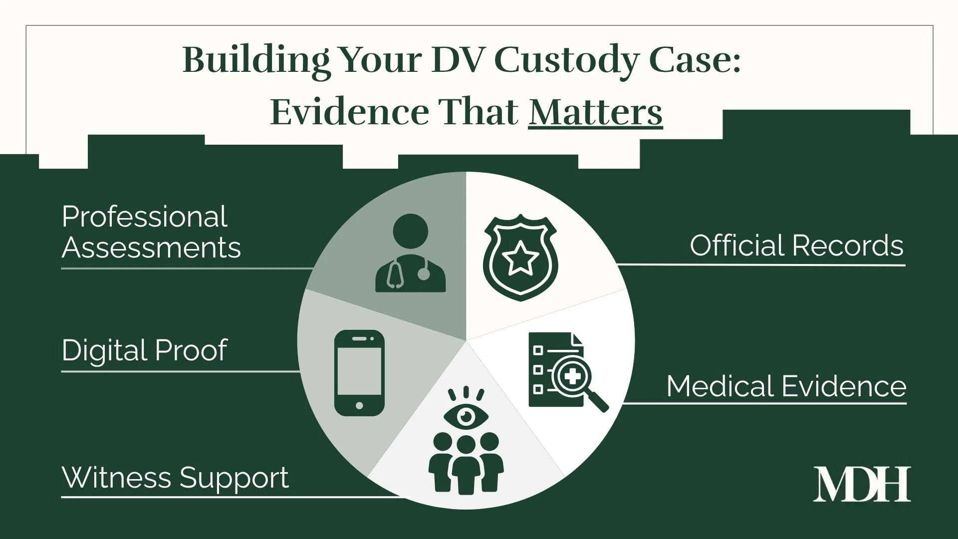 Evidence types for domestic violence custody cases illustrated in pie chart.