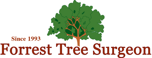 Ideal Mulching Services in Oakland, California: Leading Carriers Evaluated thumbnail