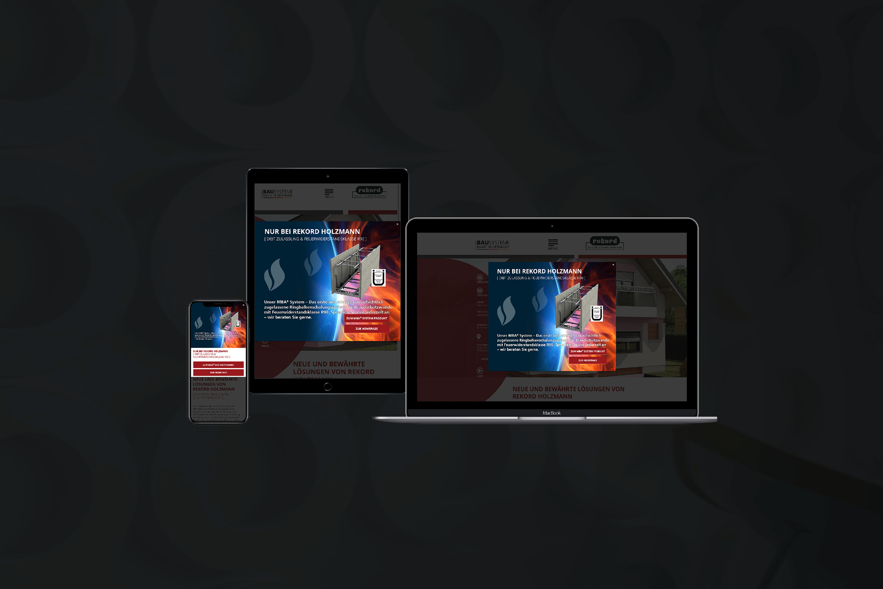 RekordHolzmann Homepage Action Overlayer