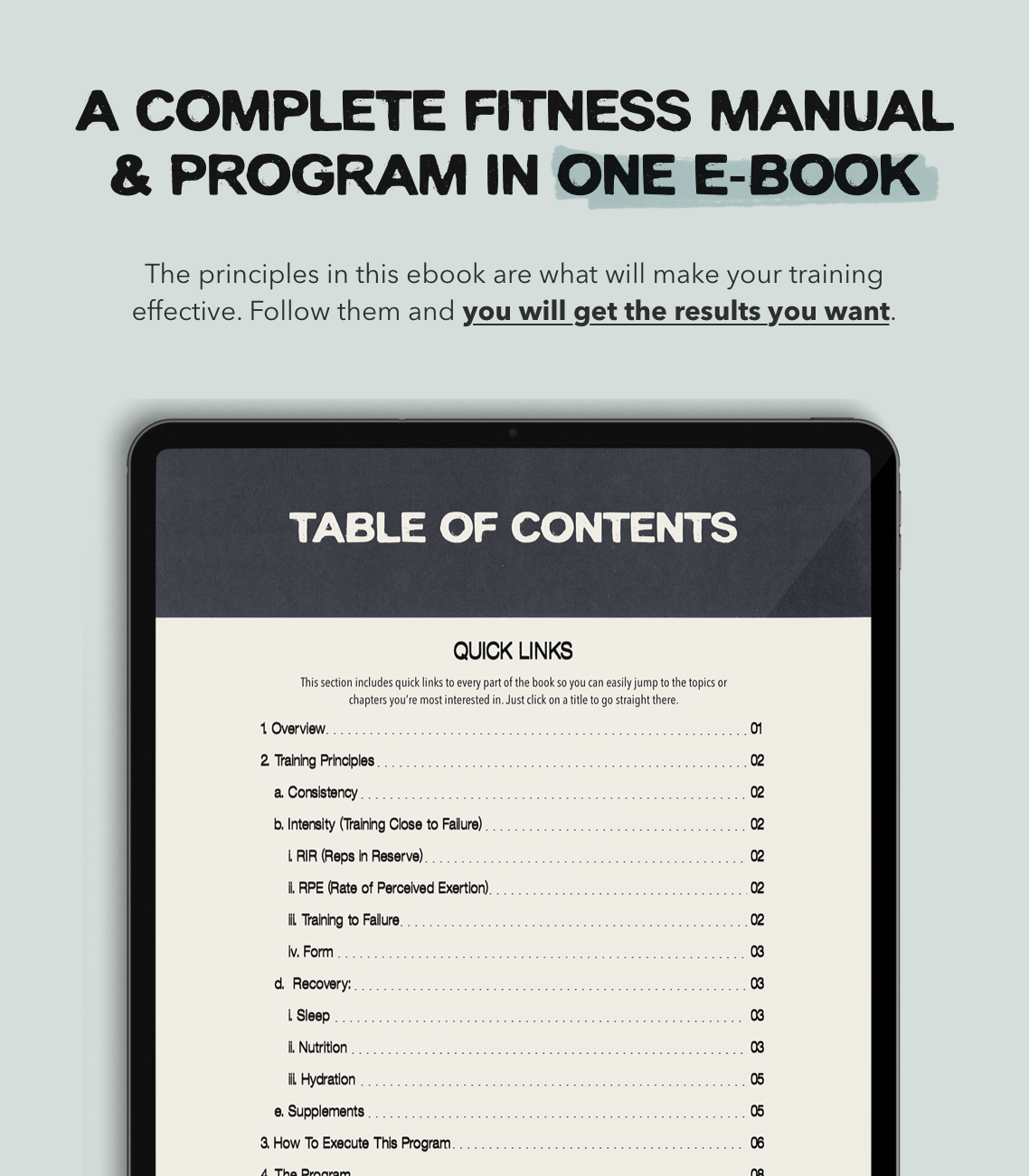 Preview pages from the Busy Dad Program workout guide