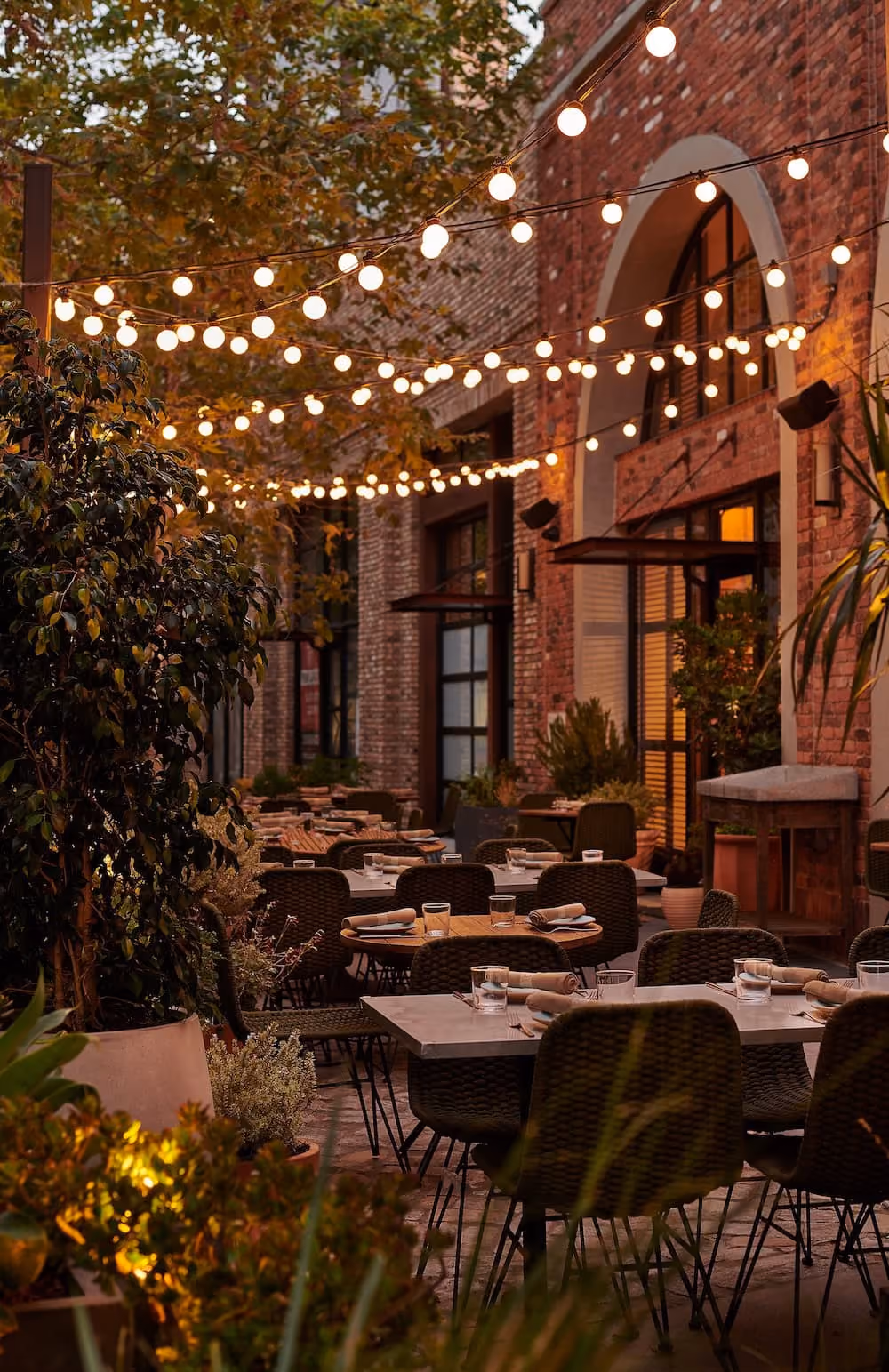 Outdoor restaurant patio with string lights, tables set with glasses and napkins, surrounded by plants.
