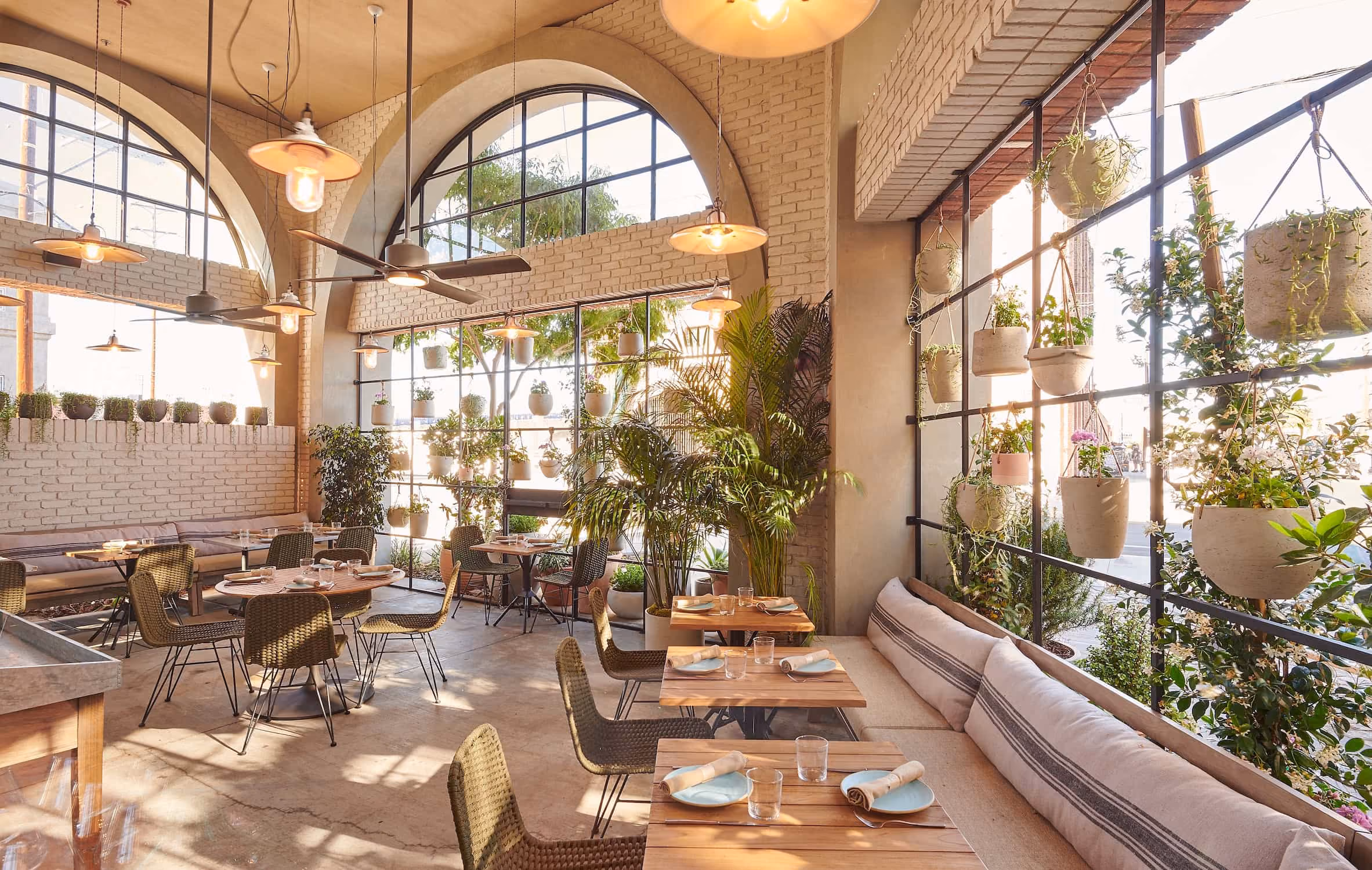 Bright cafe interior with hanging plants, wooden tables with plates, and woven chairs by large windows.