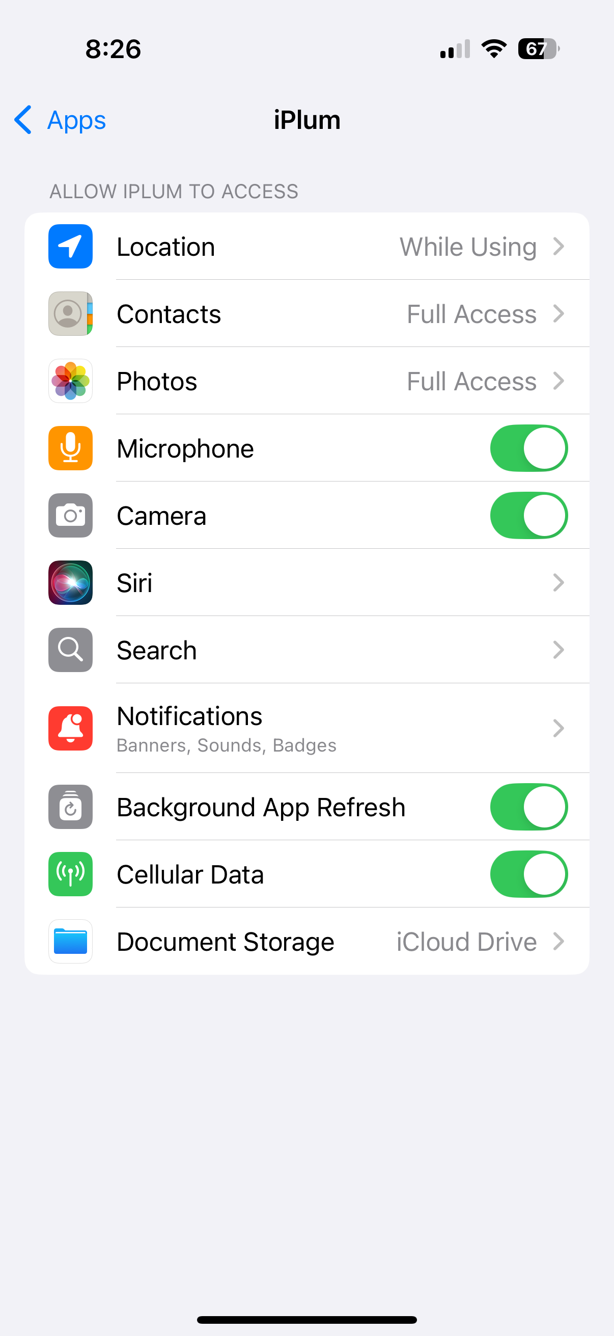 iPhone iPlum Settings