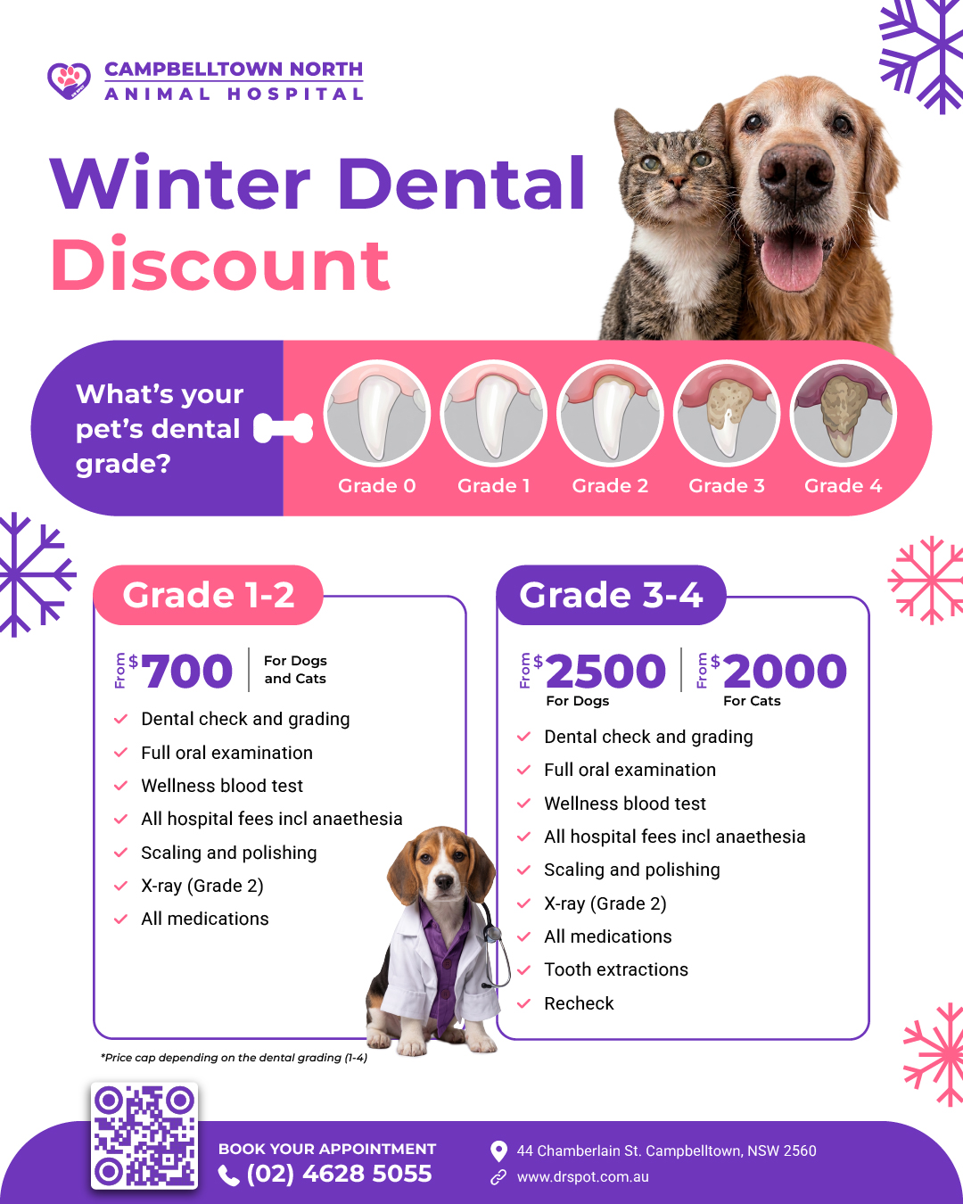 Senior Pet Care Bundle