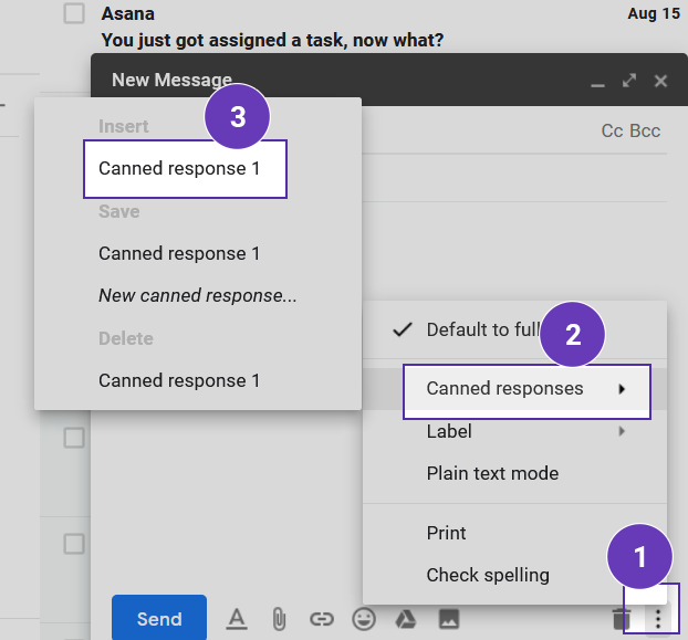 You can now insert your canned response template in Gmail