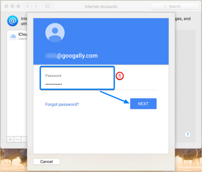 put-your-google-apps-account-password