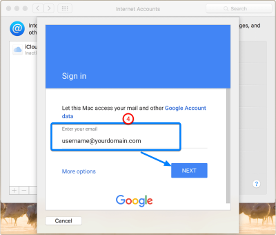 put-your-google-apps-email-address