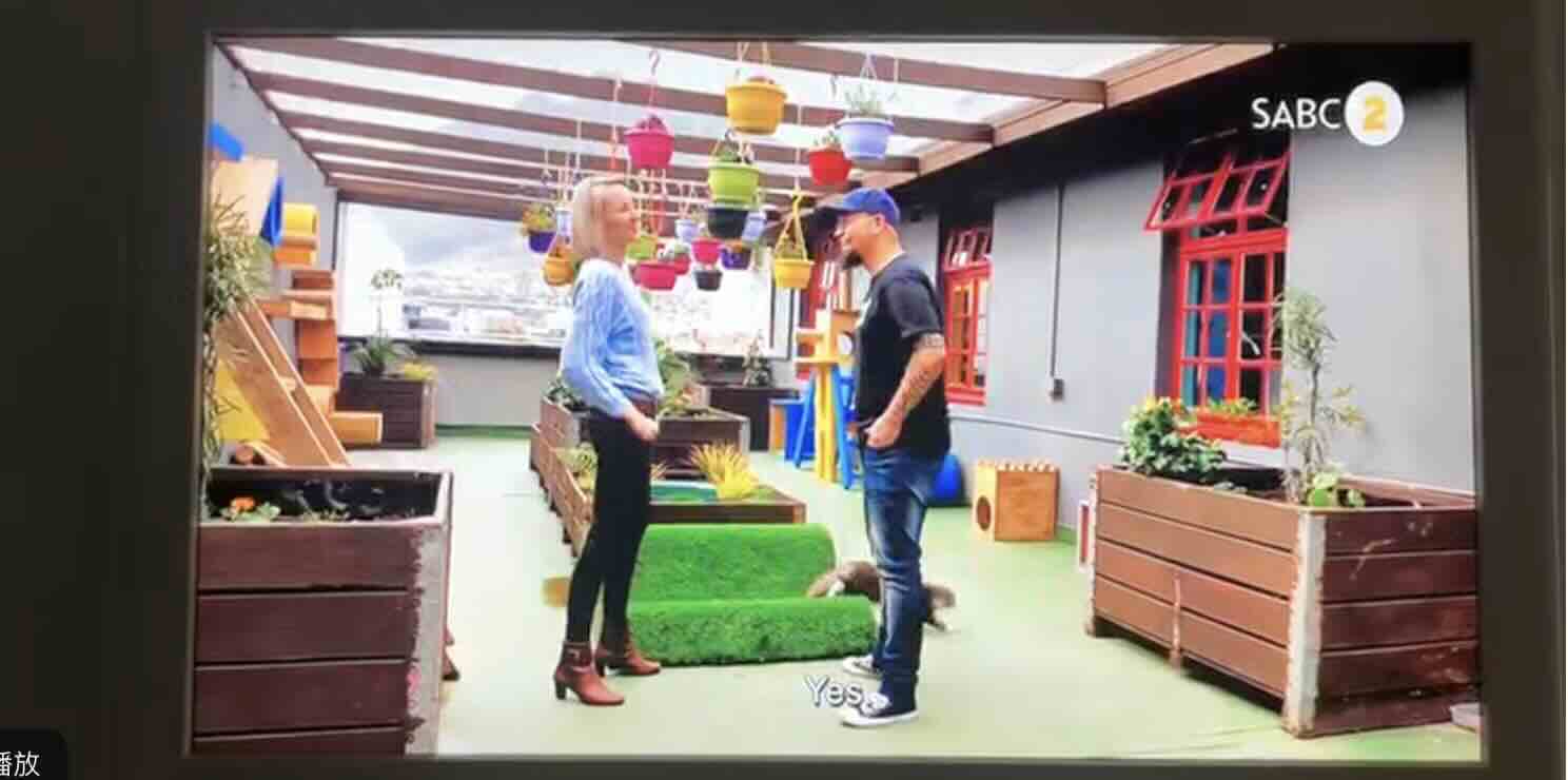 Pasella Dog Hotel and Daycare