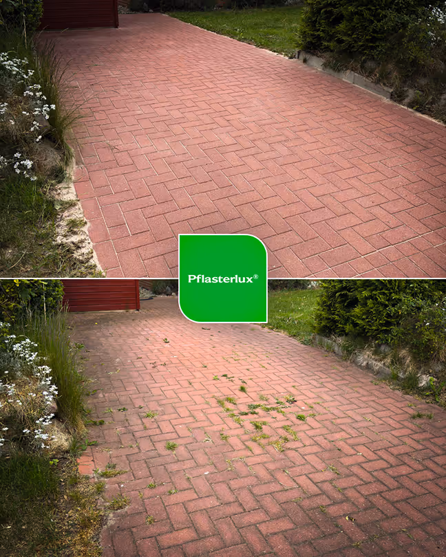 Vorher-Nachher Ergebnis 