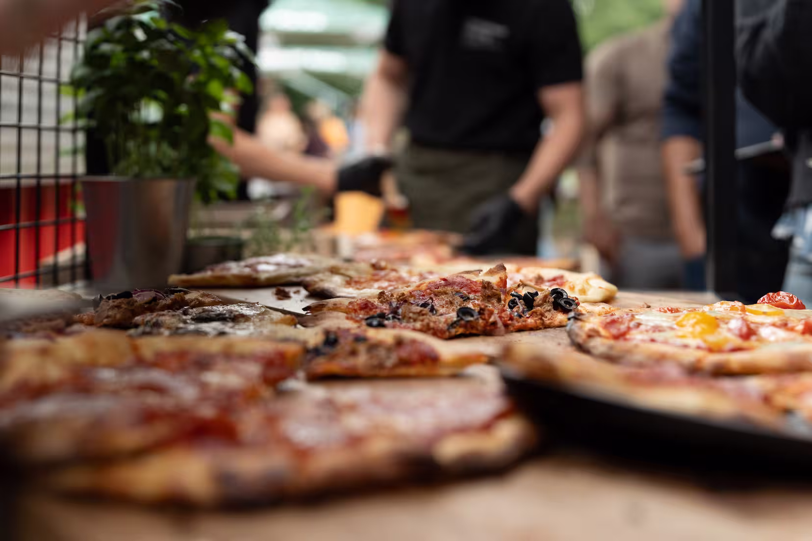 Explore our new climbing park Parque West