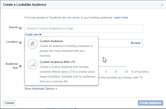 Facebook Lookalike Audience