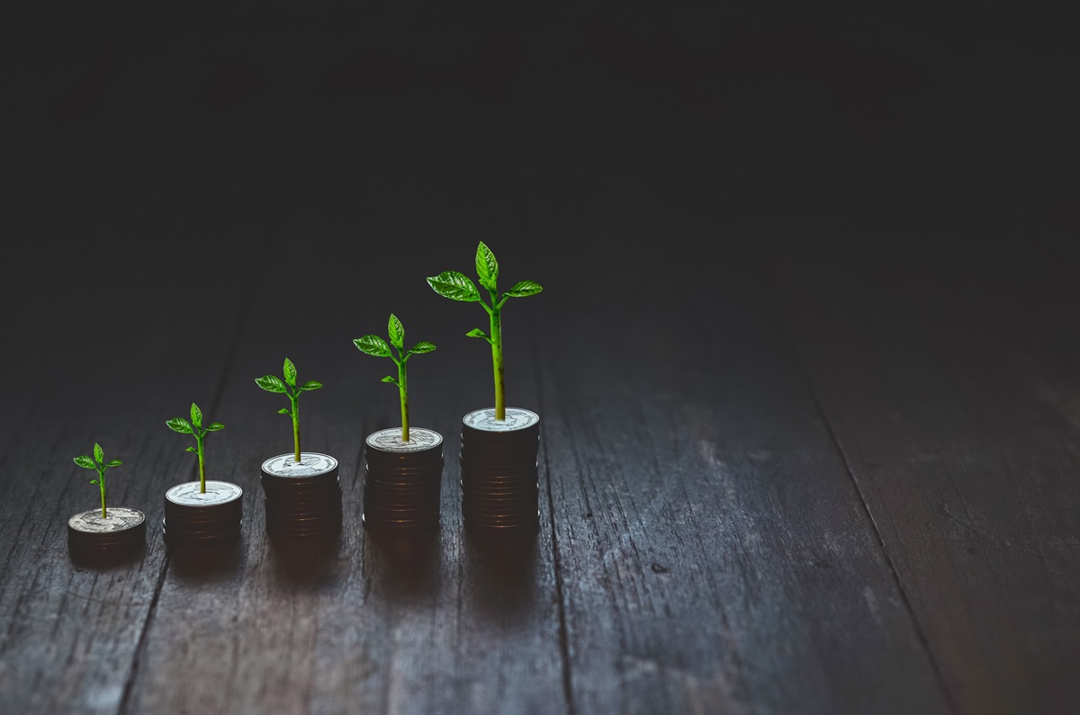 From 5 to 50 Clients: Scaling Strategies Using SEO Reselling
