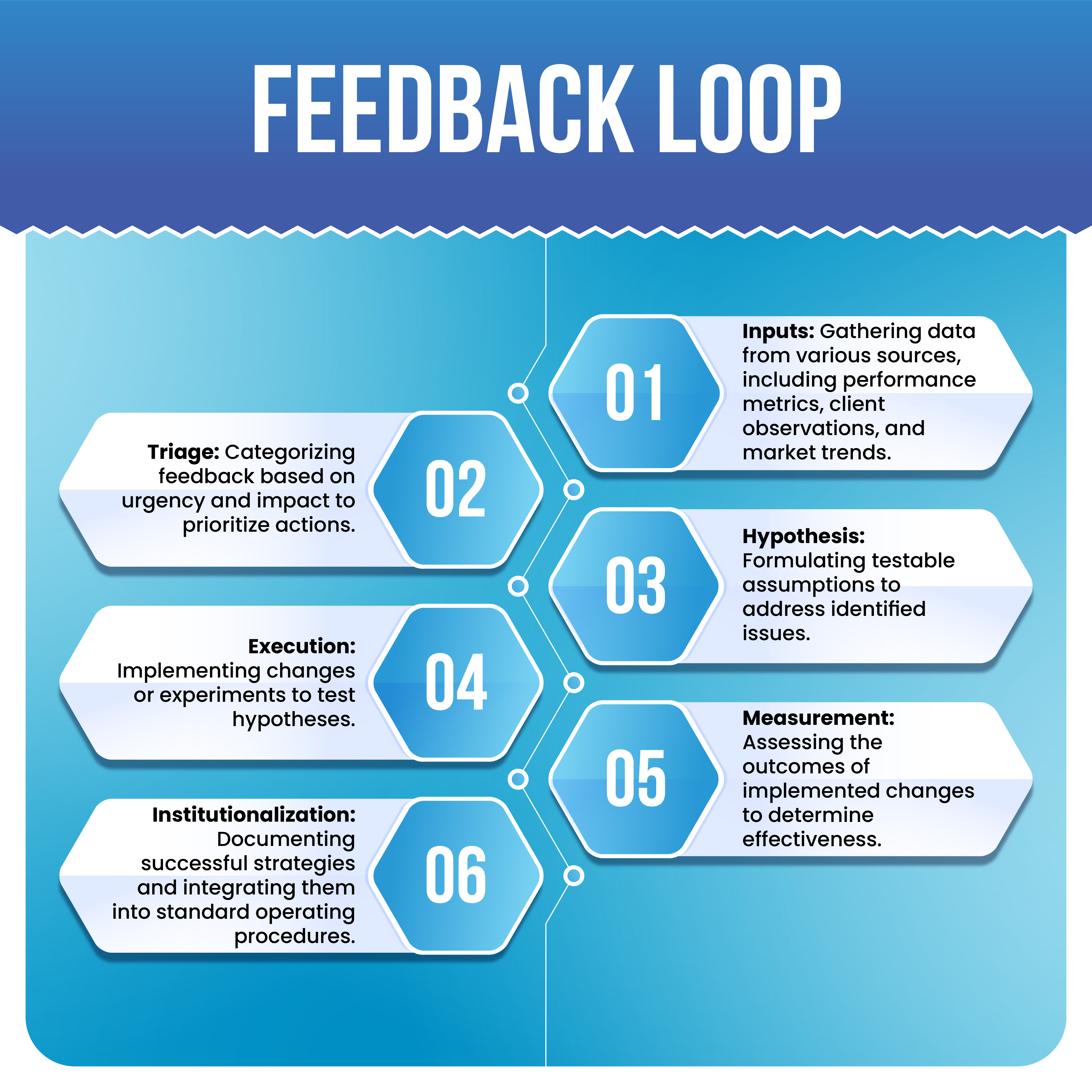Feedback Loop