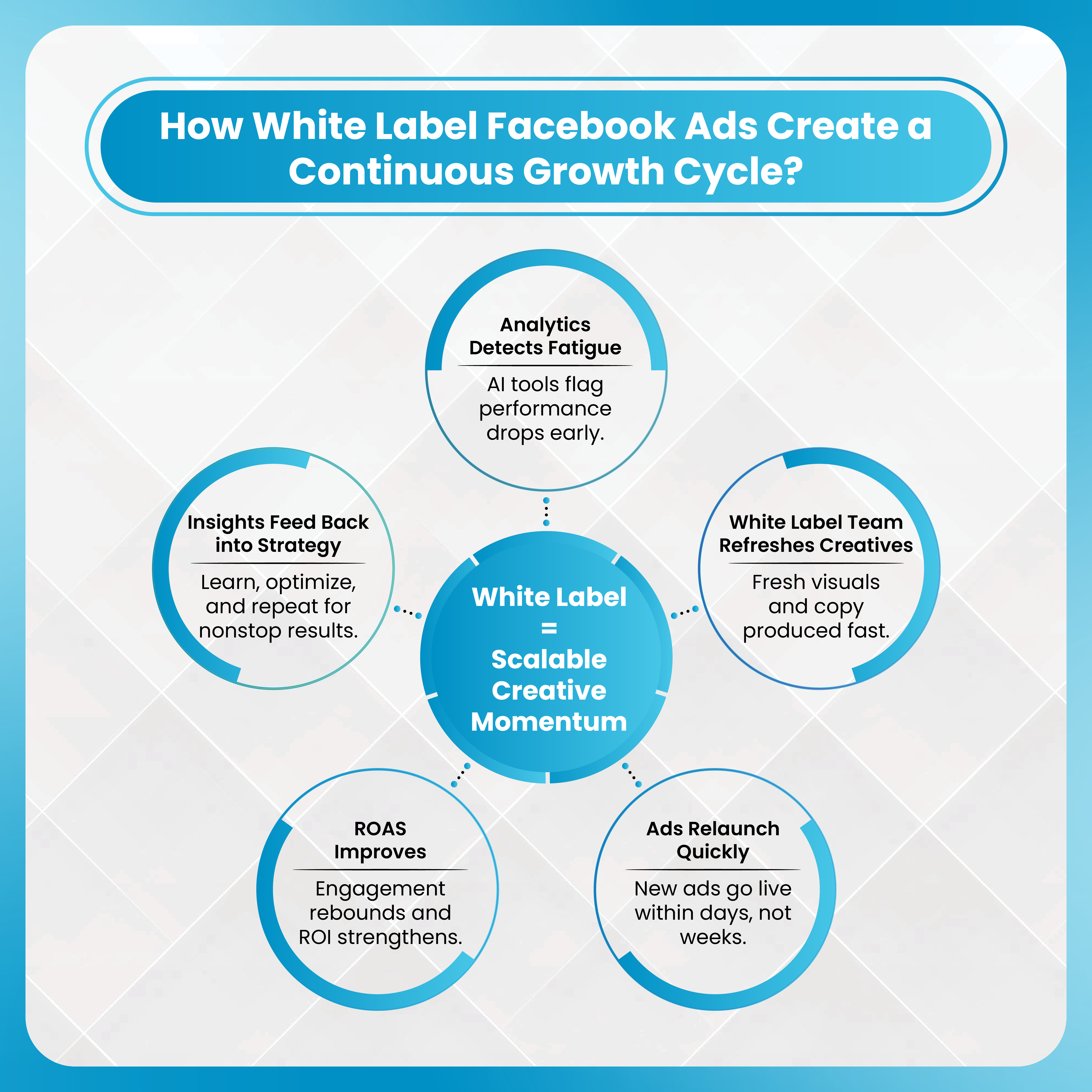 How White Label Facebook Ads Create a Continuous Growth Cycle