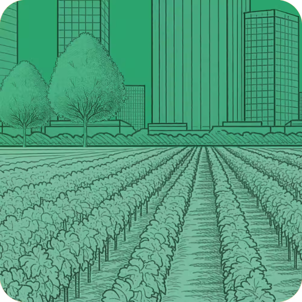 Illustration of farm crops growing in rows with trees and city skyscrapers in the background.