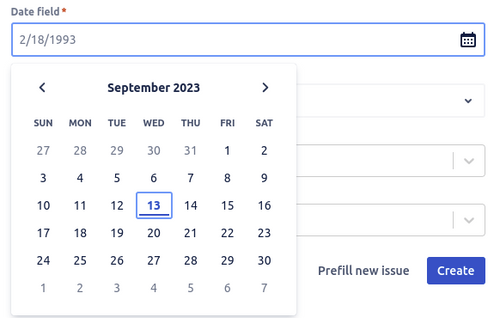 Date field variable