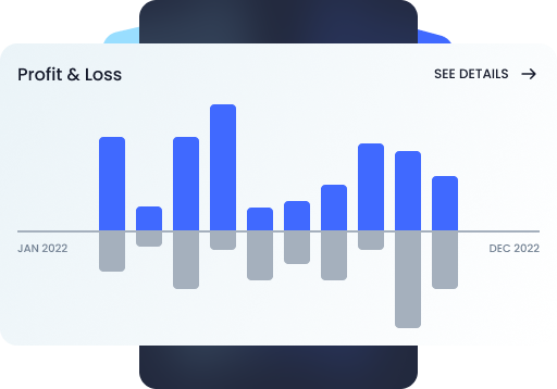 report profit & loss from Jan 2022 to Dec 2022 fluctuates in two-tone vertical lines