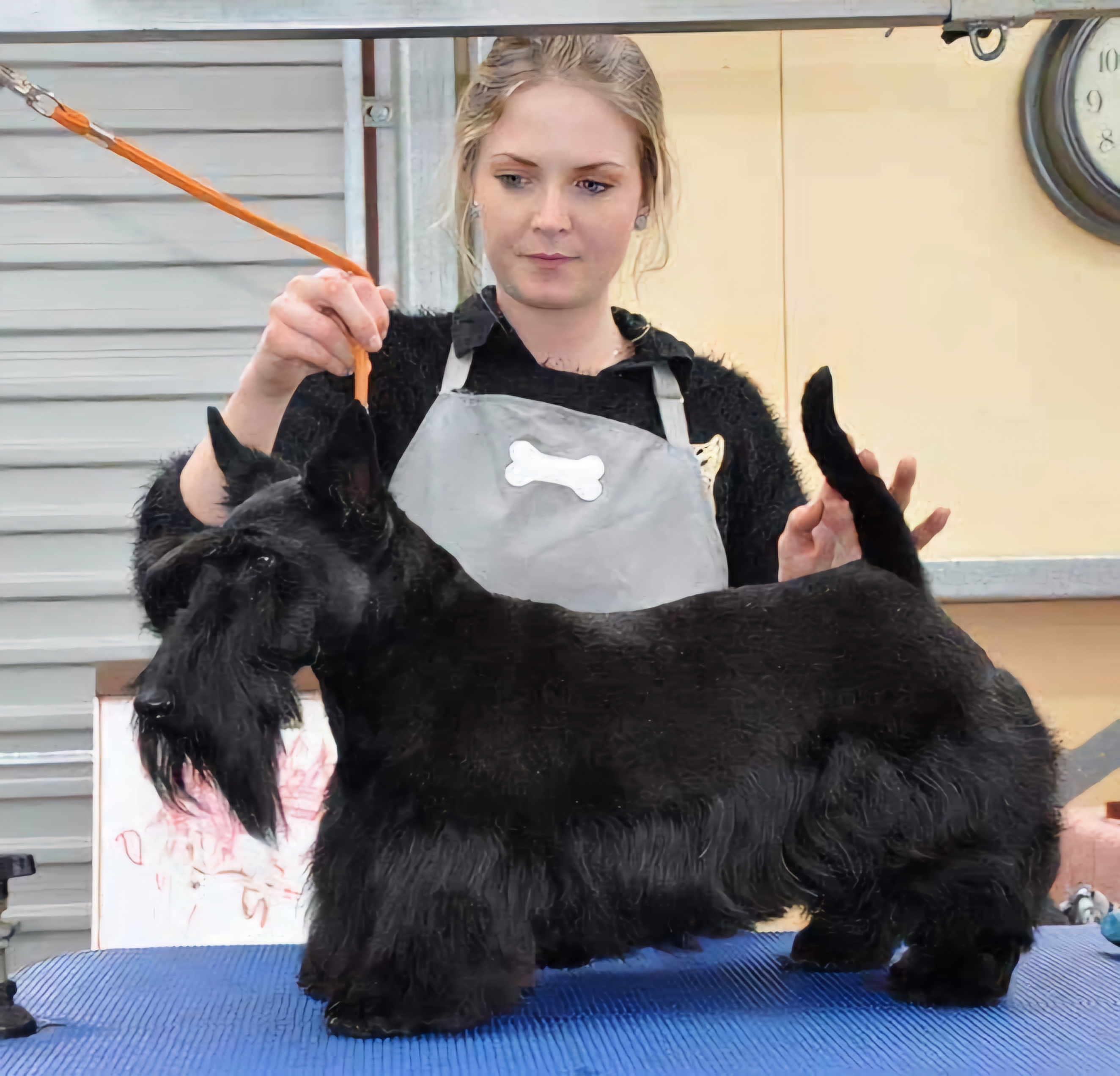 Doggy Style