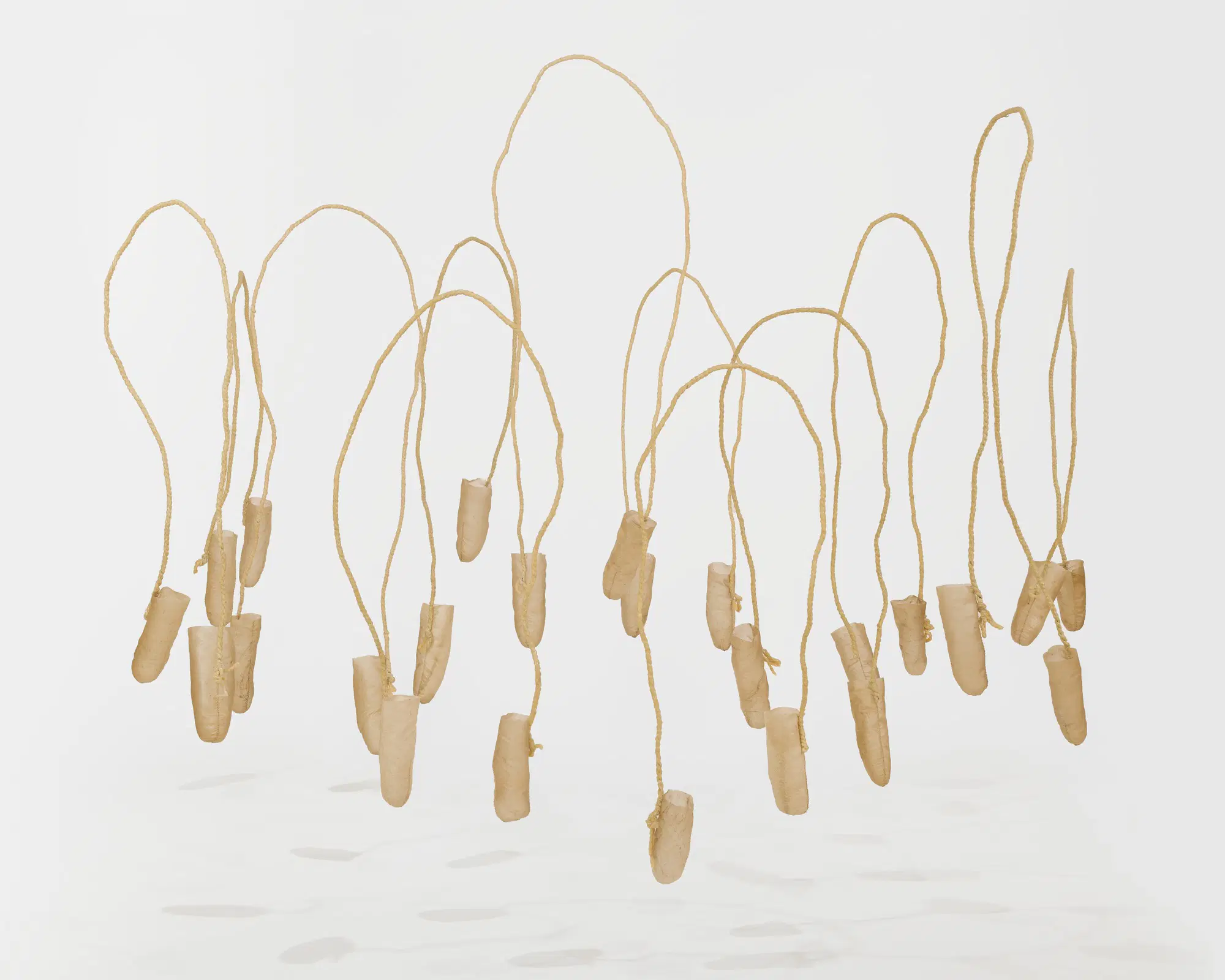 Natural Idiot Strings, 2023, Reindeer and sheep rawhide, steel wire, wool, beeswax, nylon thread, dimensions variable, Collection Brooklyn Museum, Brooklyn, NY