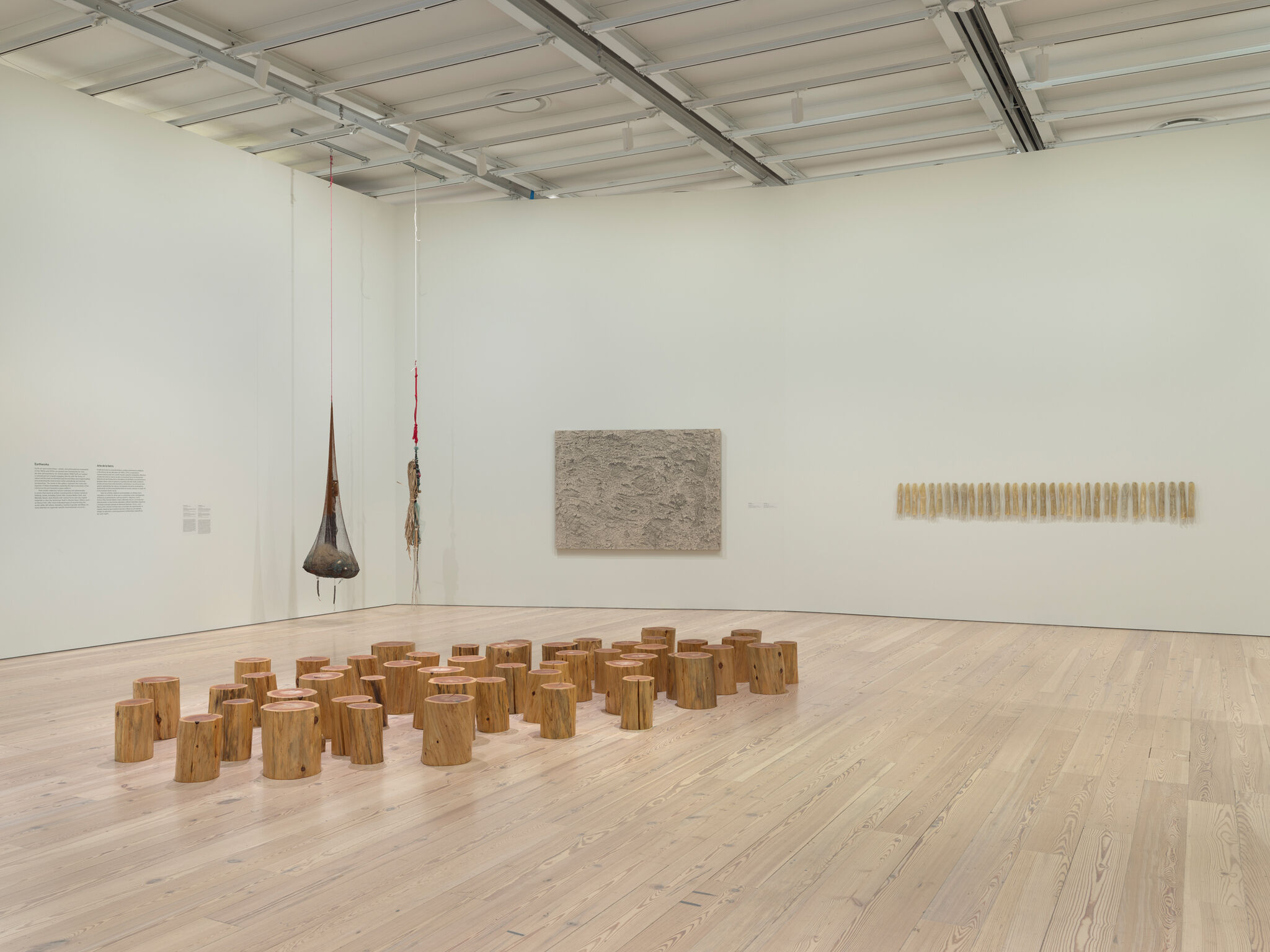 Installation view - Shifting Landscapes (Whitney Museum of American Art, New York, November 1, 2024-January 2026) Group show