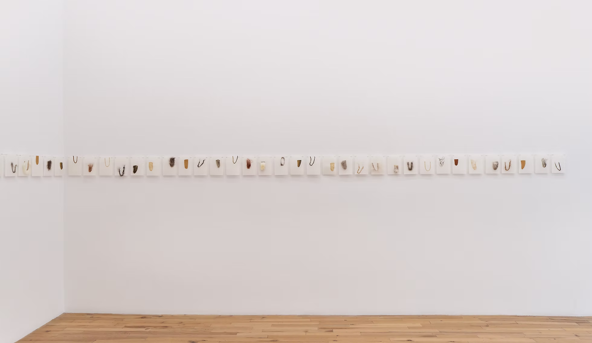  Hair and Fur Secret Portraits 2023, Drawing and mixed media, dimensions variable