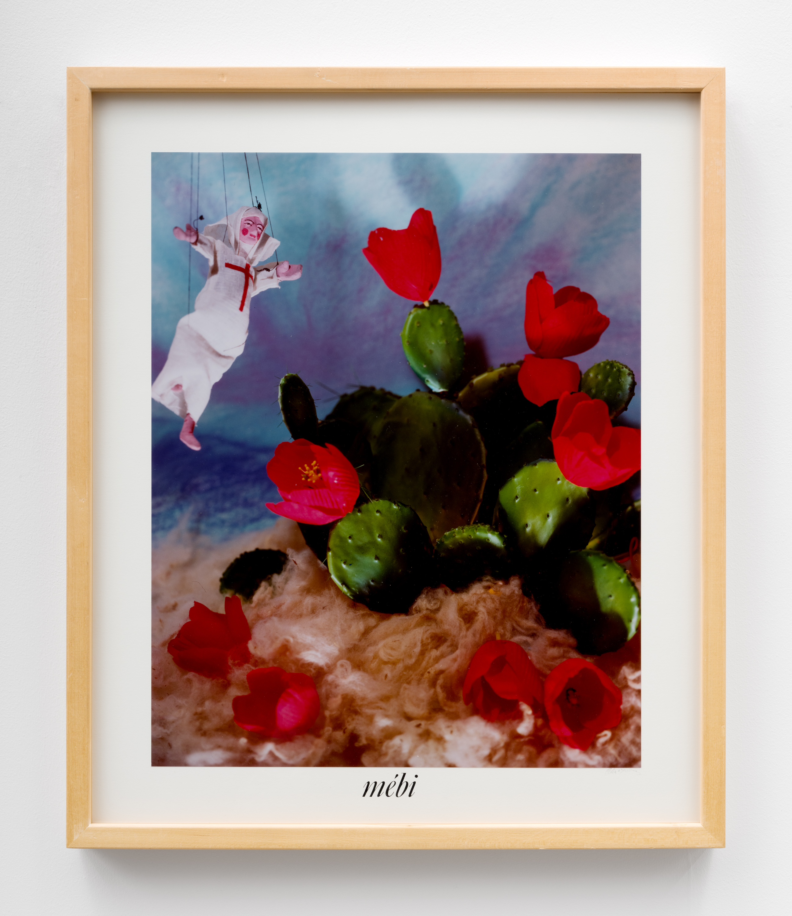 Mébi, 1987, Cibachrome print, 25¼ x 21¼ in., (framed), 64.14 x 53.98, cm, (framed), CÁL0007