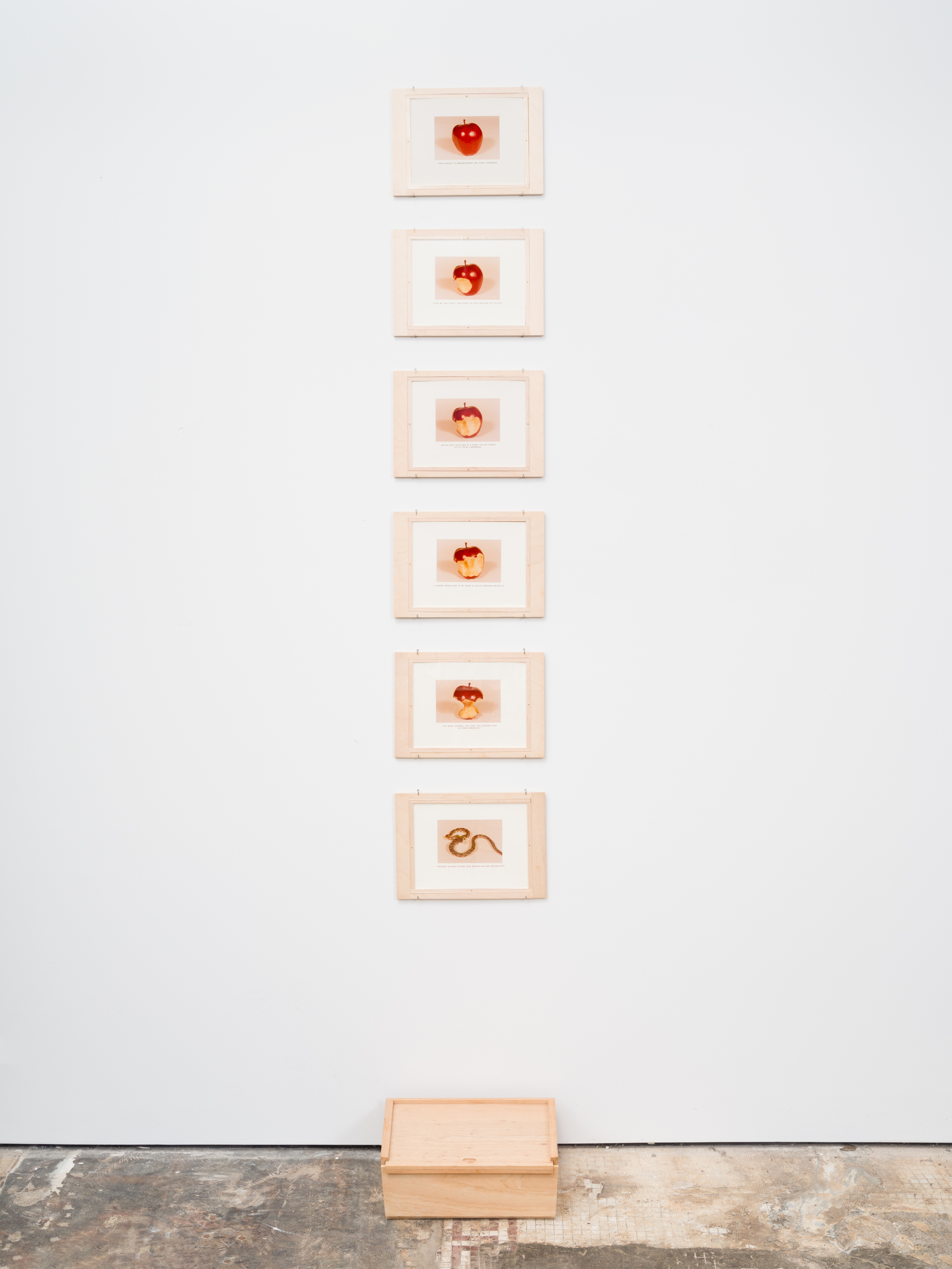 "Ave Maria Purísima" Enlightenment No. 8, 1983, c-prints and letterpress on paper, ash slip-top box; edition of 10, 3 7/8 x 5 3/8 in. (framed)Each, 9.75 x 13.75 cm (framed) Each, CÁL0009