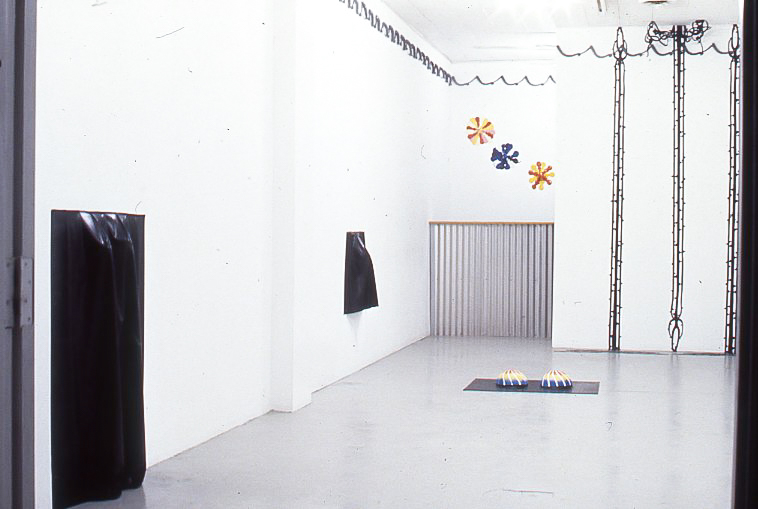 Installation View, The Captive's Dream, Sue Spaid Fine Art, Los Angeles, 1991
