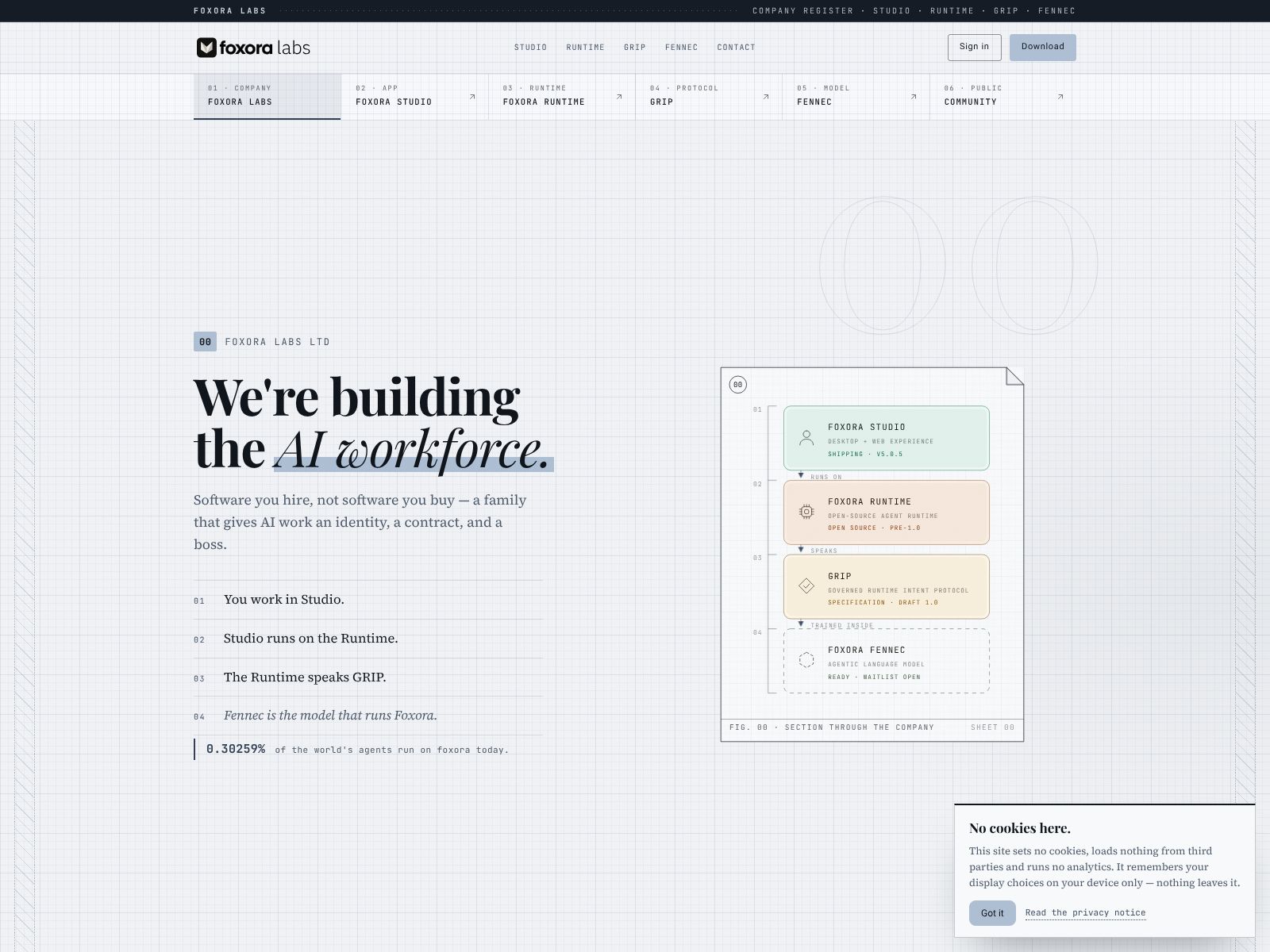Foxora Labs Ltd.