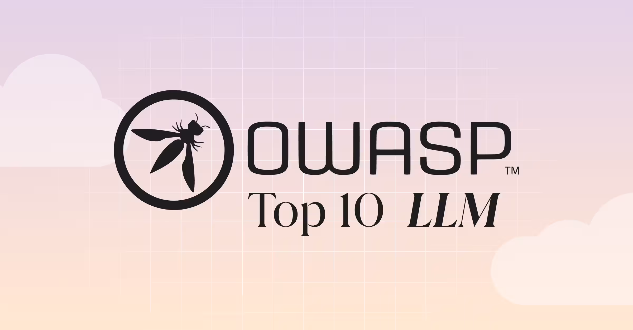 OWASP Top 10 for LLM Applications