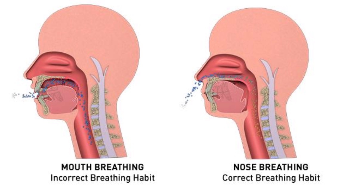 Side-by-side illustration of mouth breathing and nasal breathing