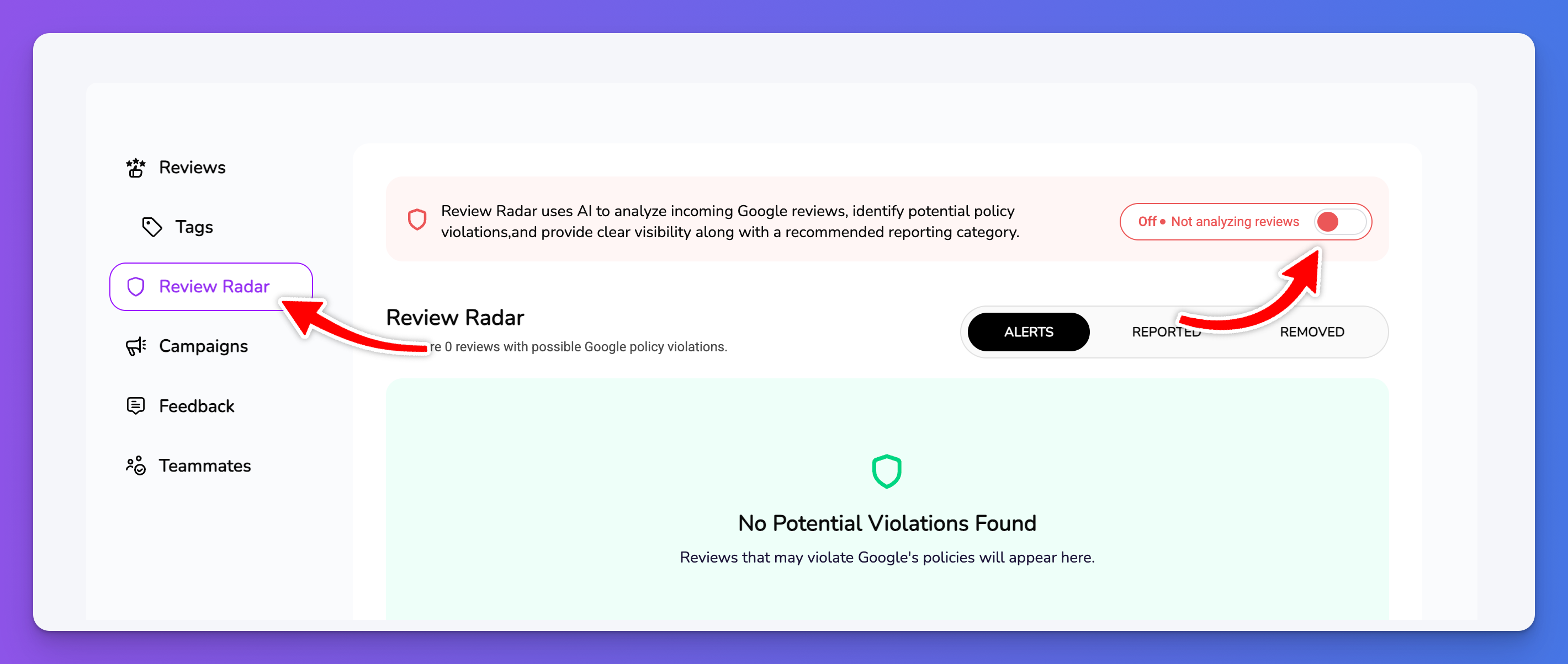 TrueReview Review Radar tab with alerts, reported, and removed review states plus an on-off analysis control.