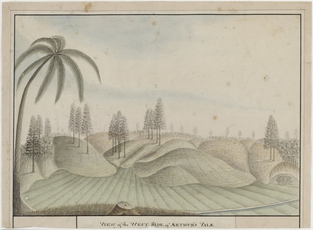 SLNSW_851811_Banks_Papers_Series_36a