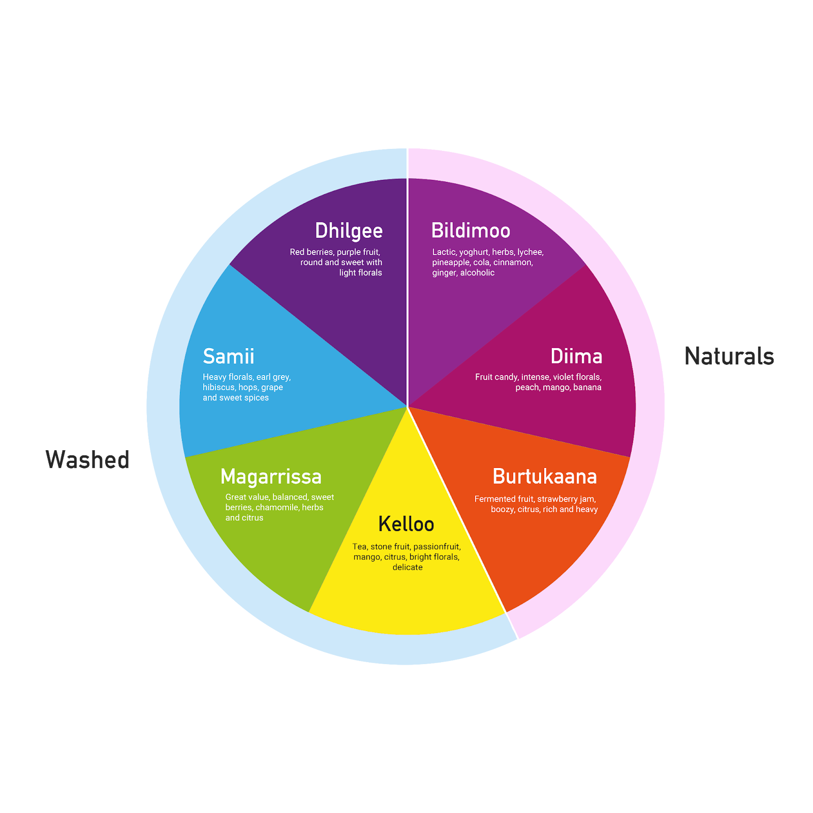 Ethiopian Coffee Flavour Wheel