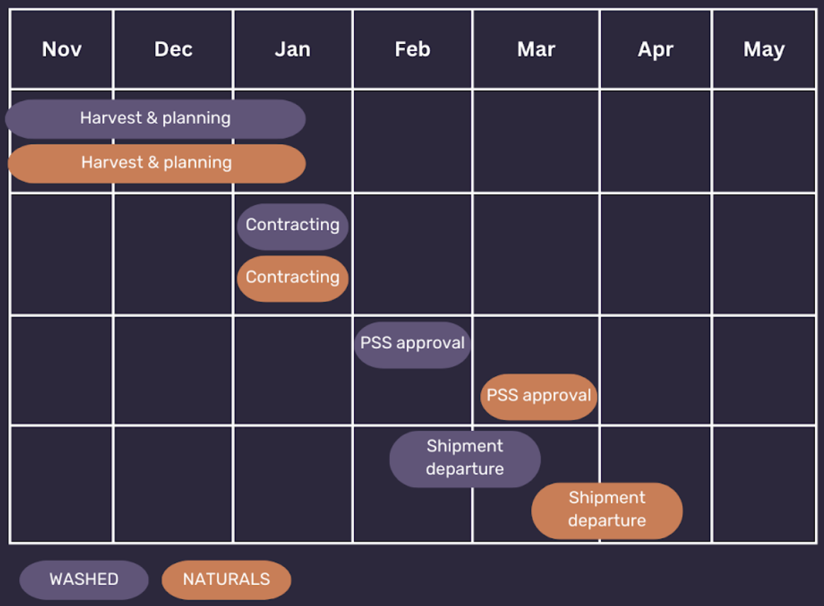 Ethiopian Coffee Harvest Period Timeline