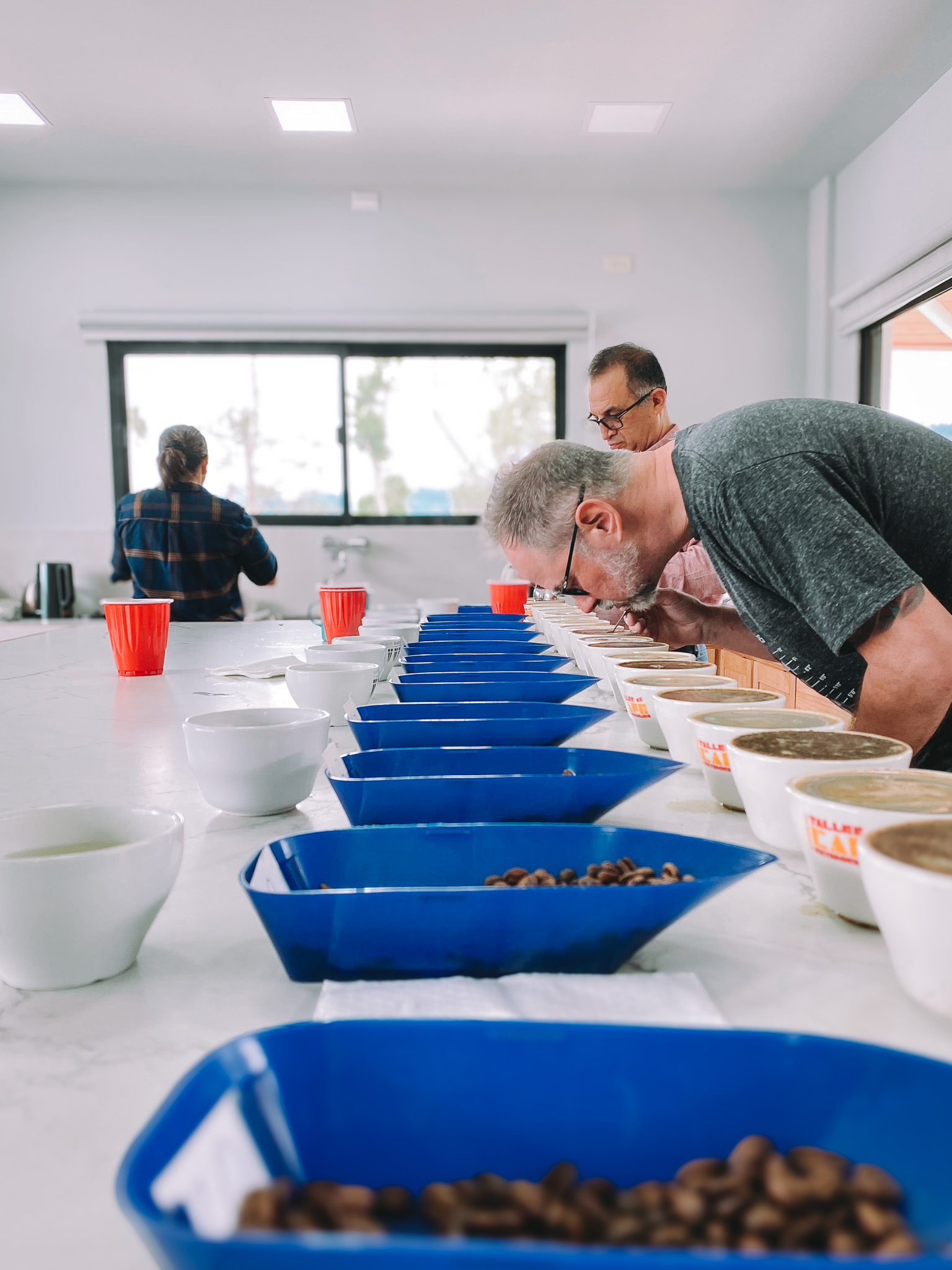 Cupping coffees in Honduras with The Caballeros
