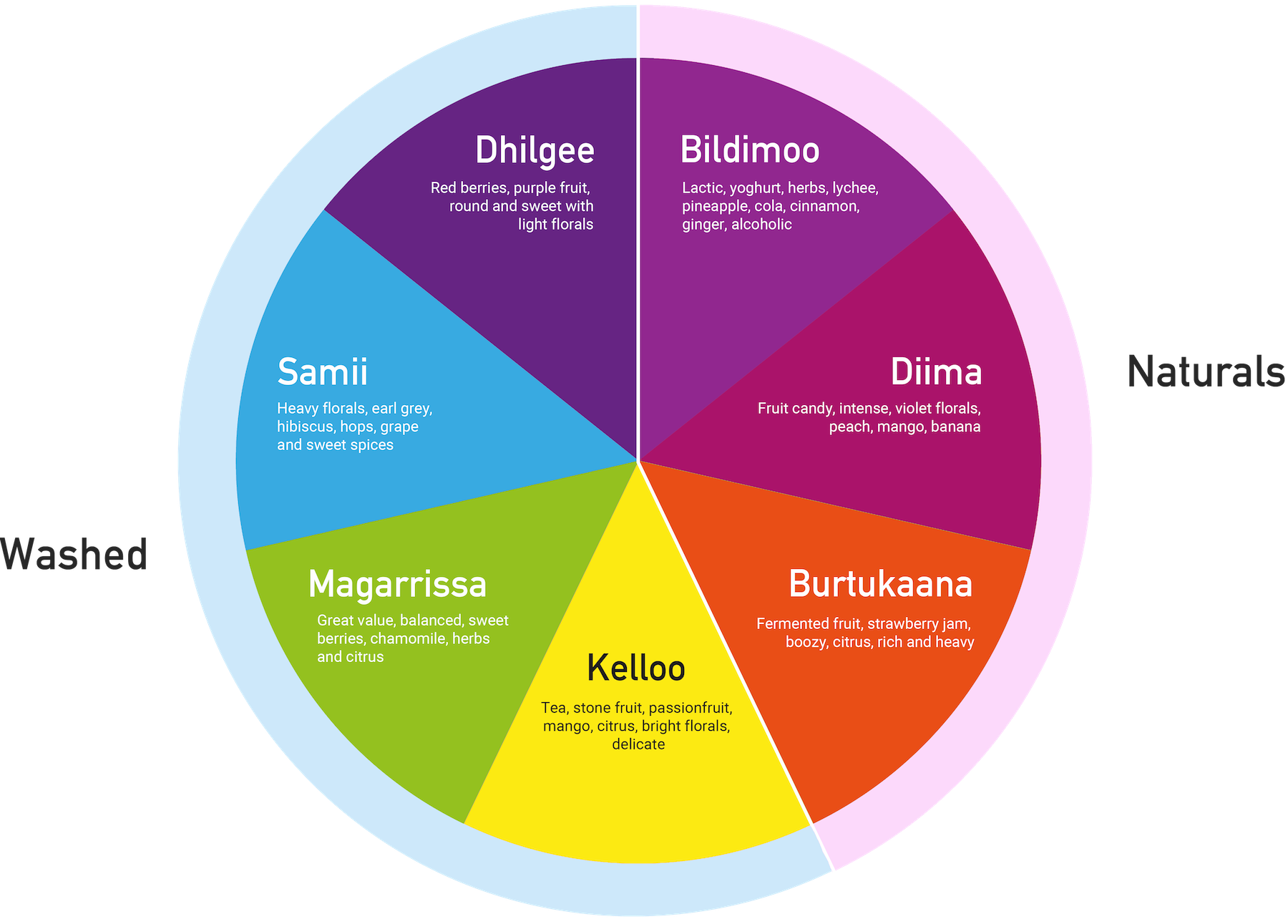 Ethiopian Coffee Flavour Wheel