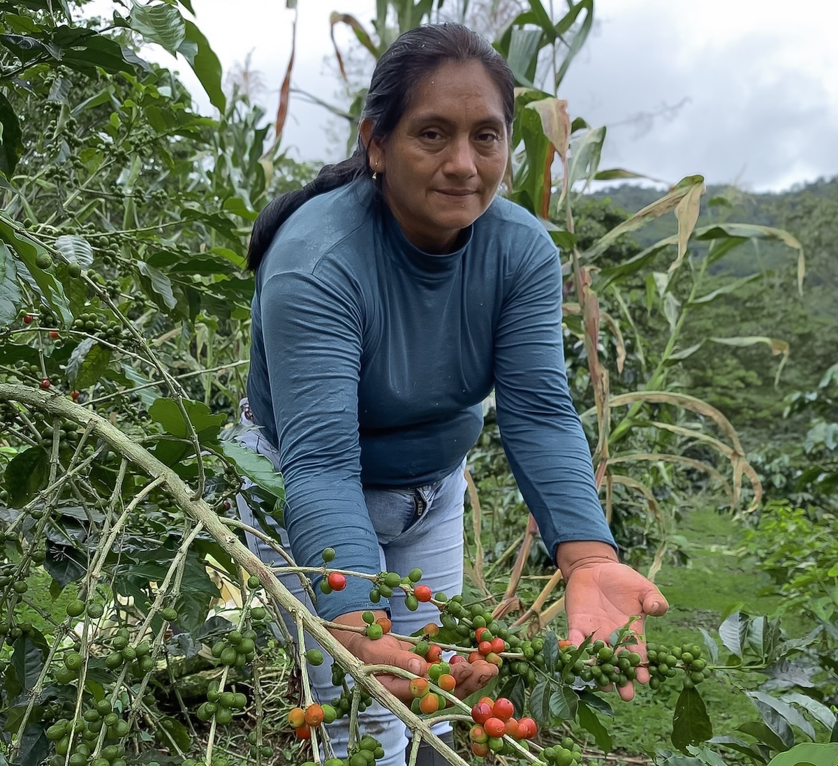 Coffee farmers of La Condensa.