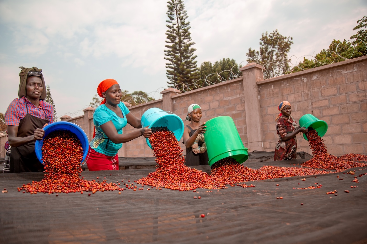 Uganda