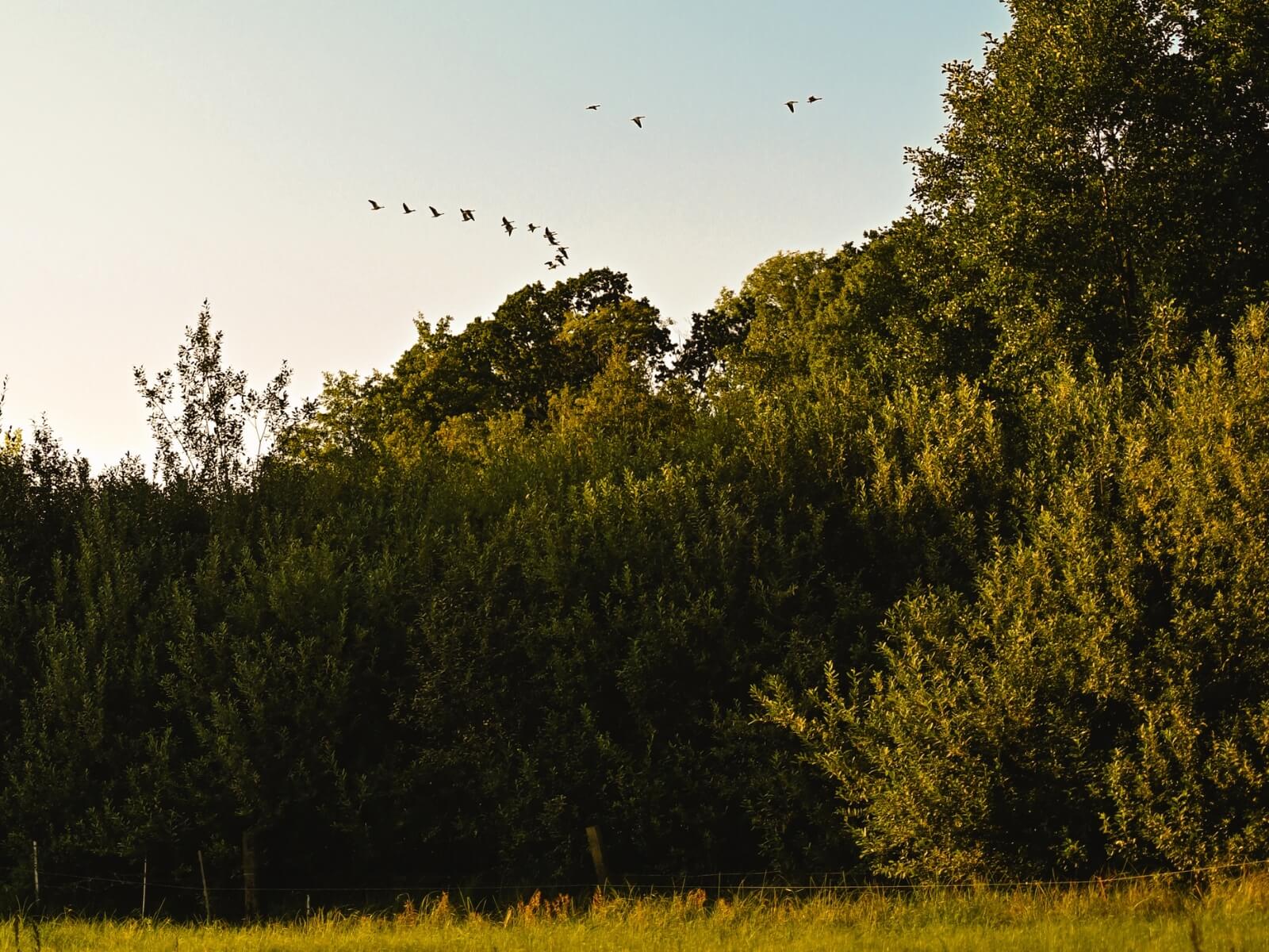Offgrid glamping in Brandenburg – warm and rustic cabin experience